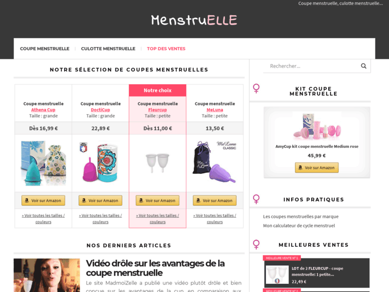 Screenshot du site : Cup menstruelle et culotte menstruelle : le point