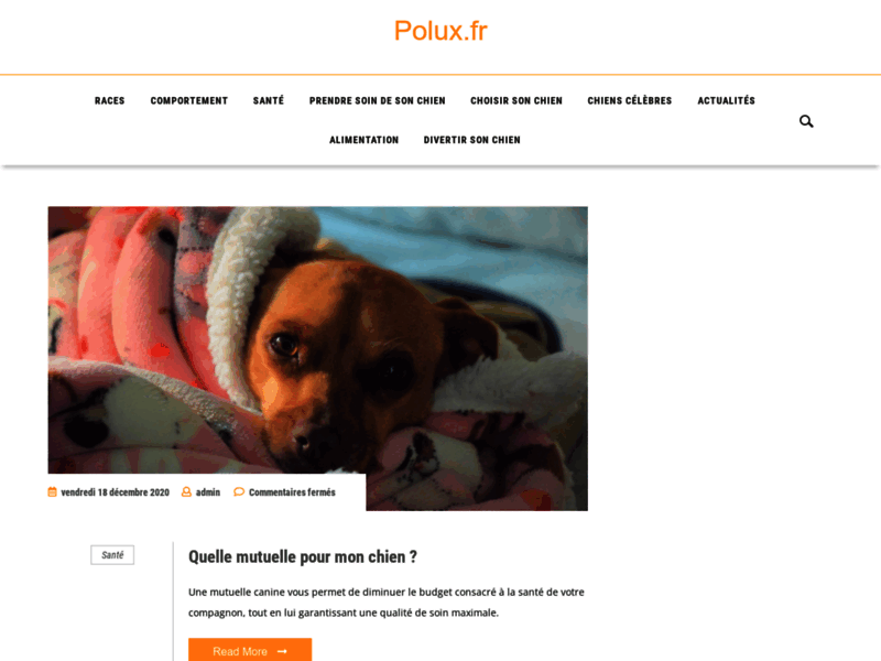 Screenshot du site : Polux : un magazine pour ceux qui aiment les chien