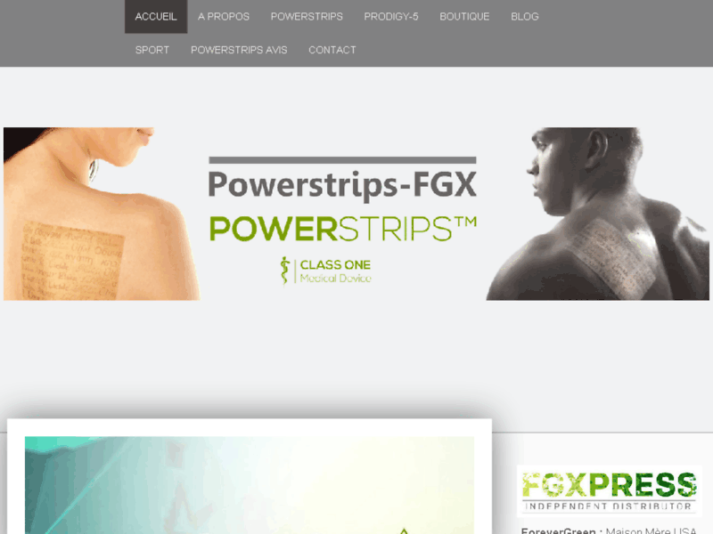 Screenshot du site : Powerstrips fgx