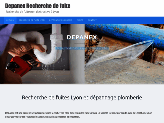 depanex-recherche-detection-et-reparation-de-fuite-d-eau-non-destructive-a-lyon