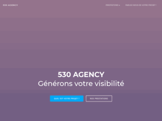 530 Agency
