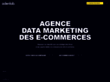 Agence SEA Multiplateformes - Google Ads - Facebook Ads - Bing Ads - Amazon Ads