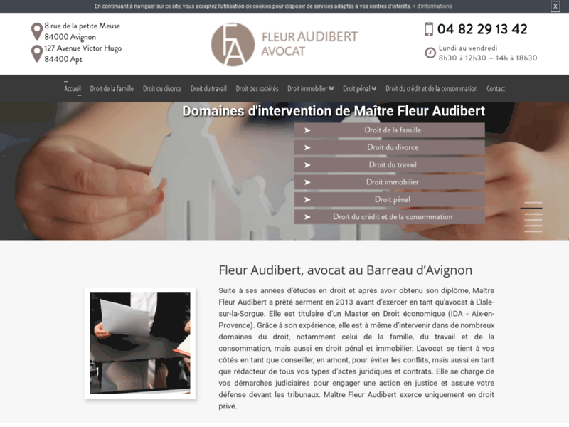 Screenshot du site : Avocat en droit du bail à Avignon - Maître Audiber