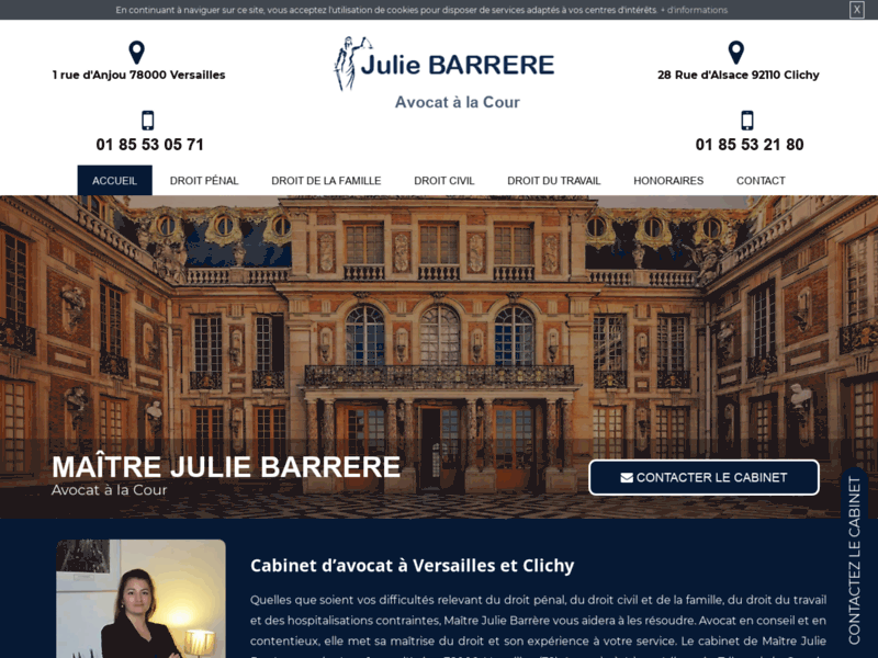 Screenshot du site : Votre avocat licenciement à Versailles