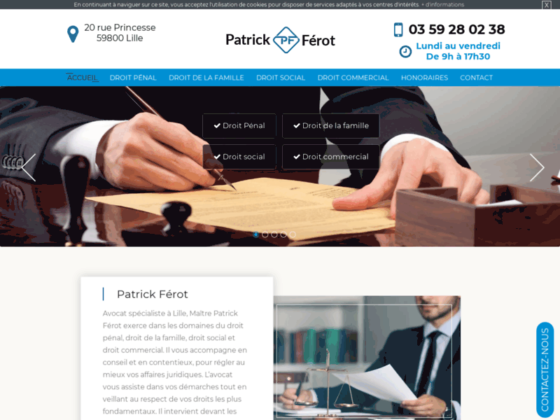 Screenshot du site : Votre avocat en droit de la famille à Lille
