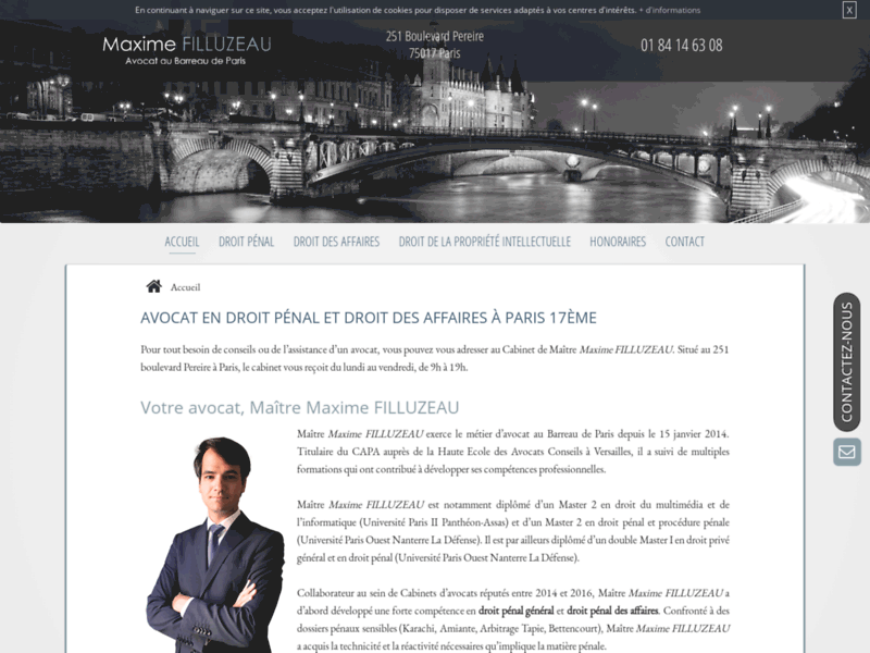 Screenshot du site : avocat en droit pénal à Paris 17