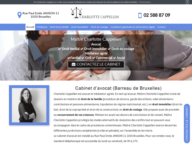 Screenshot du site : Votre avocat en droit de la famille à Bruxelles