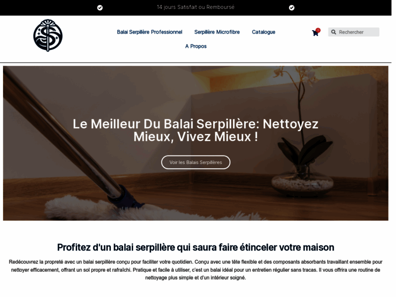 Screenshot du site : Balai Serpillère