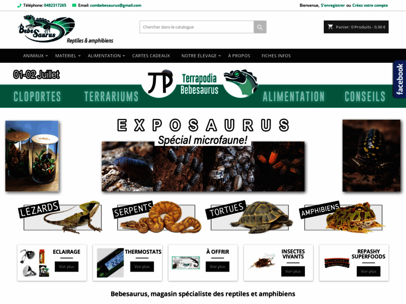 Screenshot du site : Tortue des steppes - Bebesaurus
