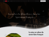 Bellitasty.com, le meilleur des spiritueux français