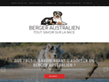 Tout sur le Berger Australien