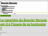 Bouvier-bernois.com