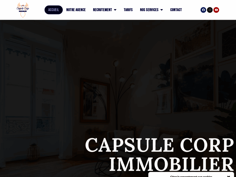 Screenshot du site : Agence immobilière CAPSULE CORP