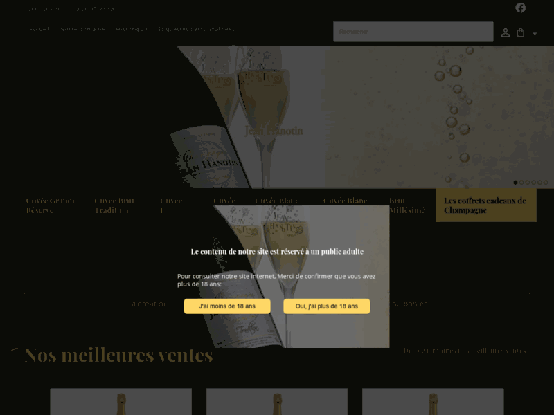 Producteur de champagne Marne - Champagne Jean Hanotin