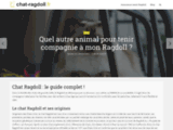 Chat-ragdoll.fr