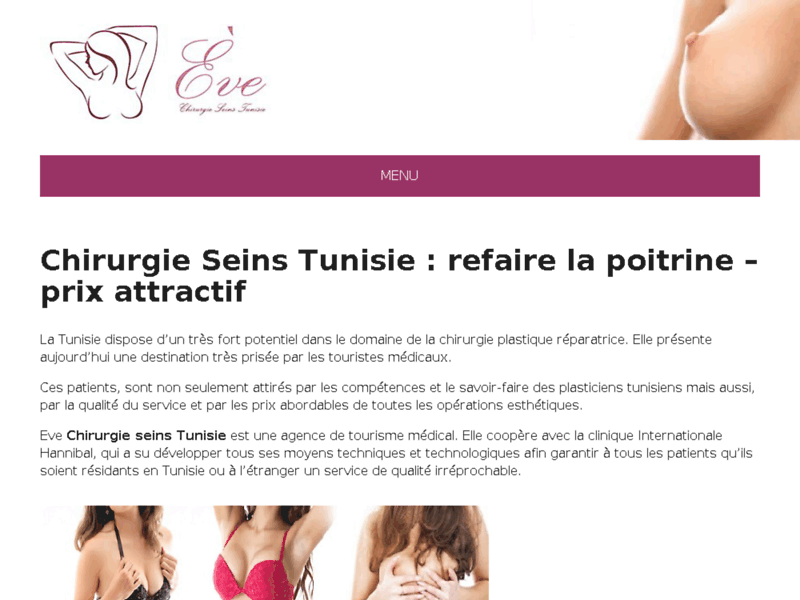 Screenshot du site : Lipofilling seins Tunisie