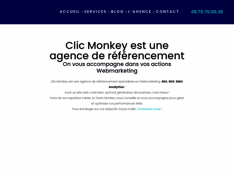 Screenshot du site : Clic Monkey | Agence de Référencement SEA - SEO