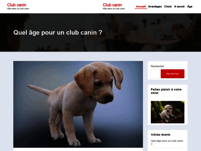 Club Canin en Positif