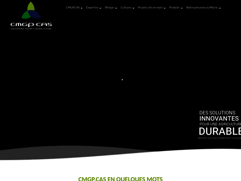 Screenshot du site : pompage solaire pour irrigation maroc