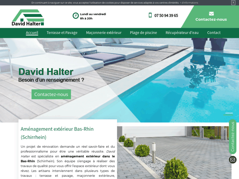 Screenshot du site : David Halter - Entreprise de dallage à Bas-Rhin