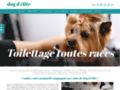 Dog d’Élite : toilettage pour chiens & chats à Conflans-Sainte-Honorine | Yvelines (78)