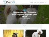 Dogxs.fr