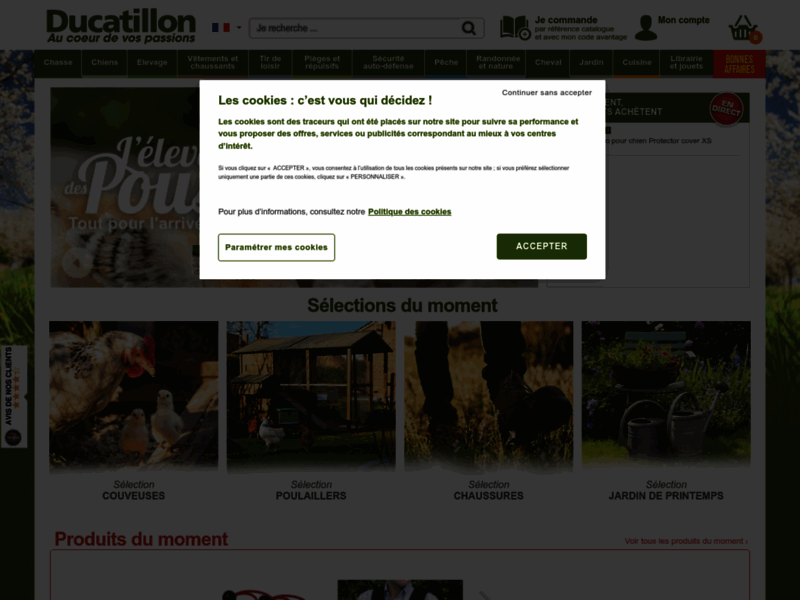 Screenshot du site : Ducatillon - Au coeur de vos passions
