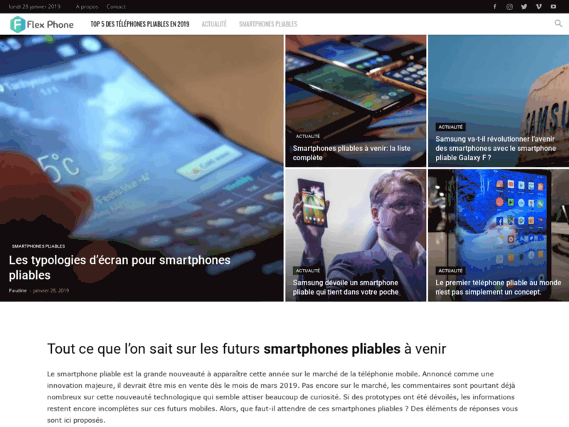 Screenshot du site : Le guide d'achat du smartphone pliable en 2019