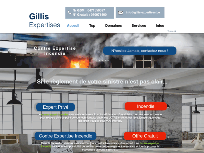 Screenshot du site : Gillis Expertises