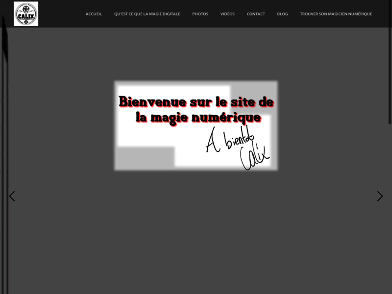 Screenshot du site : Magicien Ipad à Lyon - Magicien digital