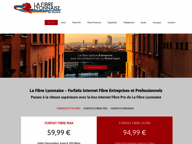Screenshot du site : La Fibre Lyonnaise