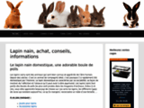 Lapin nain, achat, informations, conseils, guide sur le lapin domestique