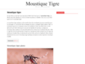 Détails : Moustique tigre