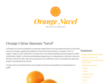 Orange Citrus Sinensis 
