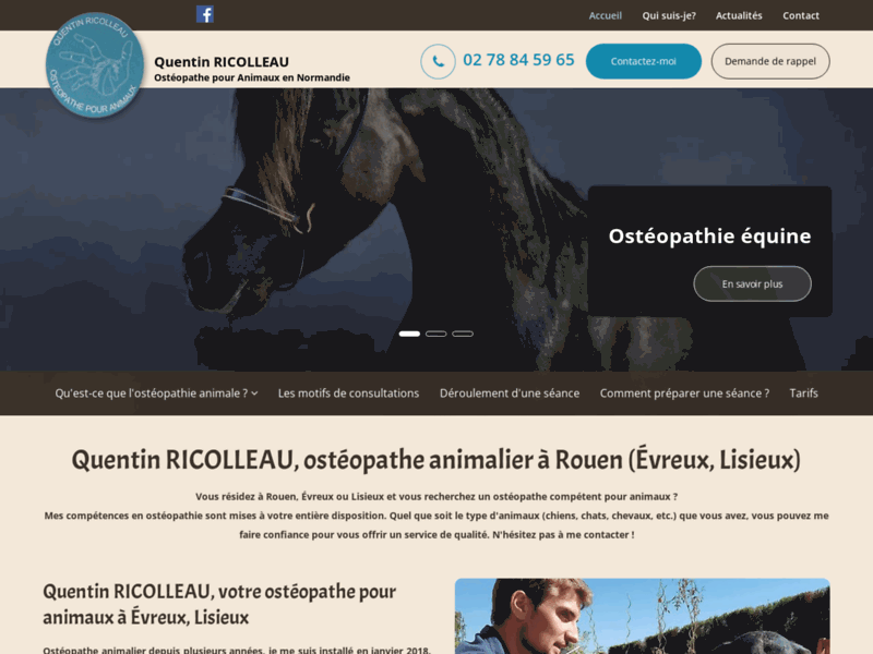 Ostéopathe animalier Lisieux – Chien, cheval Rouen | QUENTIN RICOLLEAU