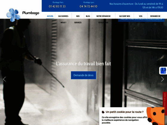 plumbago-a-paris-excellence-en-services-de-menage-pour-un-environnement-impeccable