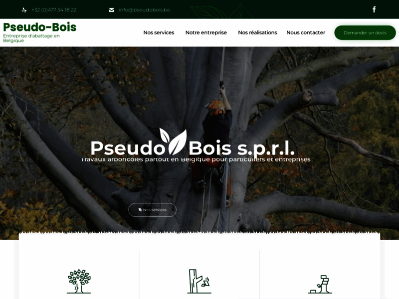 Screenshot du site : Pseudo-Bois