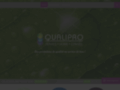 Détails : Qualipro Service