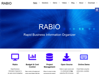 Website's thumnail : Rapid Business Information Organizer