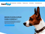 éducateur comportementaliste canin | Rouen | Evreux | Domicile 27 et 76