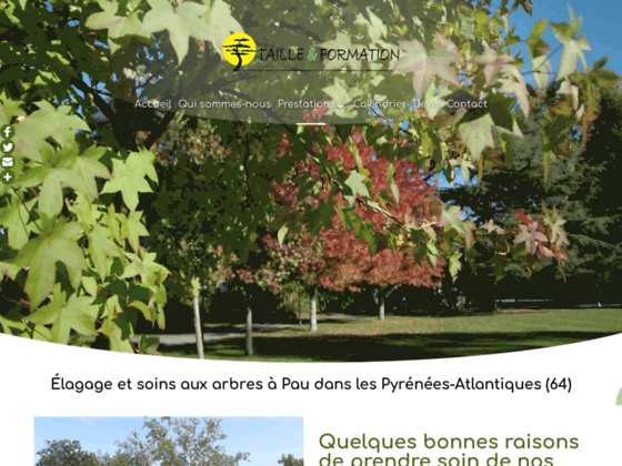 Détails : Diagnostic, taille et abattage arbres à Pau, Pyrénées Atlantique (64)