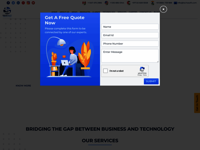Website's screenshot : Techasoft Pvt. Ltd.