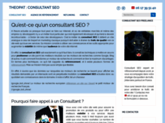 Theopat, consultant SEO
