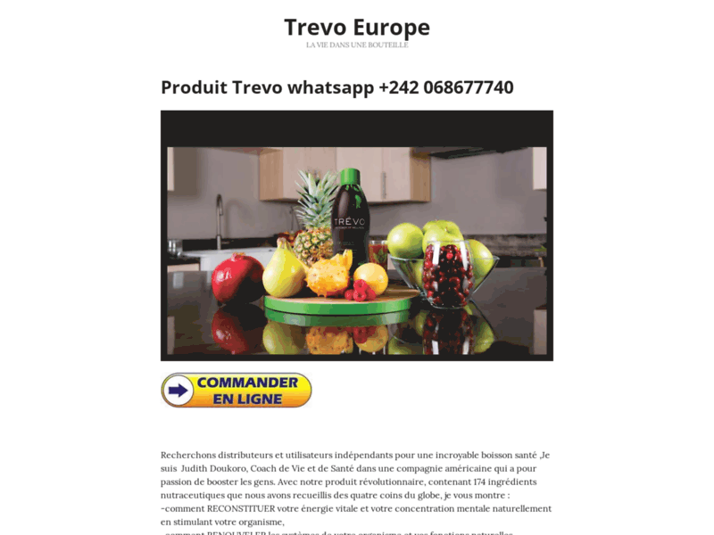 Screenshot du site : TREVO GABON