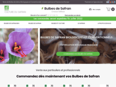 Vente en ligne des bulbes de safran biologiques 
