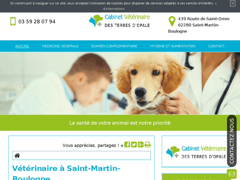 Screenshot du site : Votre vétérinaire à Saint-Martin-Boulogne