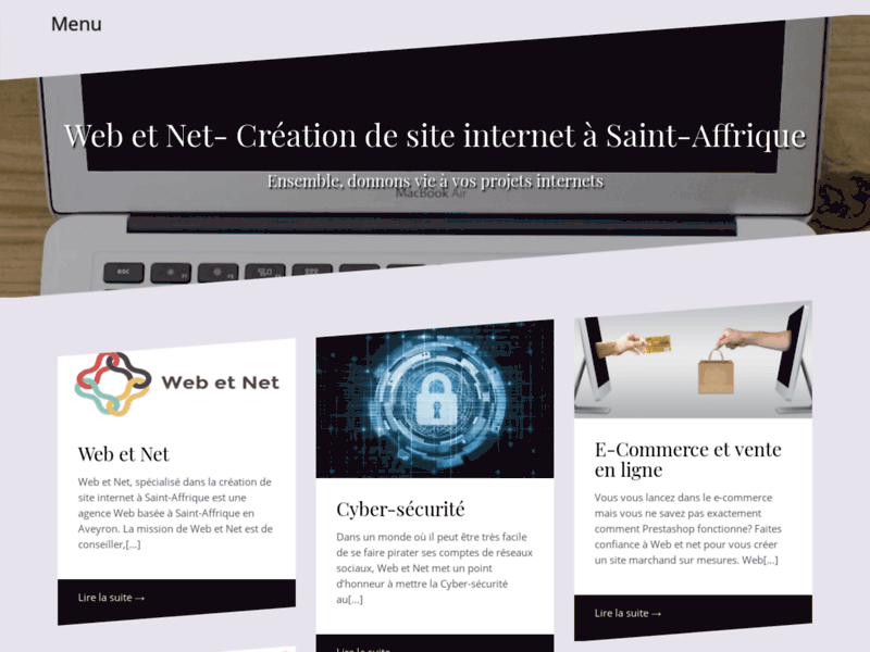 Screenshot du site : Web et Net