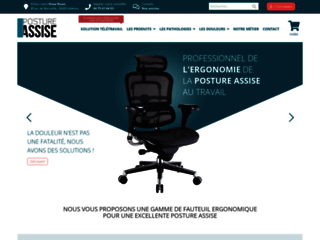 Détails : Professionnel de l'ergonomie de la posture assise au bureau