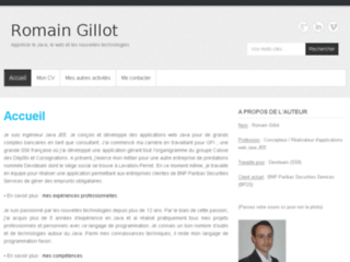 Détails : R. Gillot | Consultant Informatique