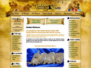 Détails : Golden Retrievers of Sim, élevage et vente de chiens racés